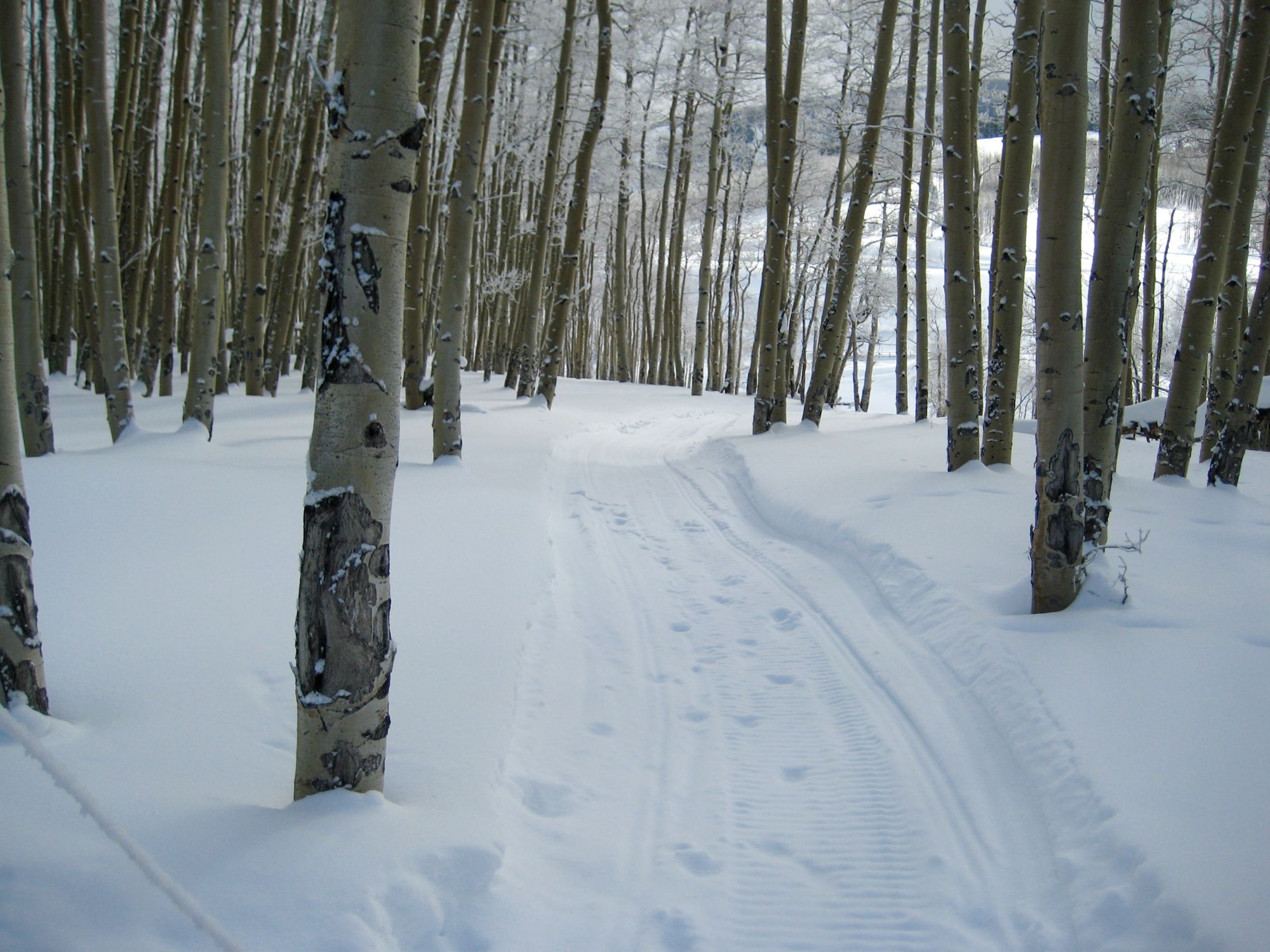 2010 Beaver Creek 21
